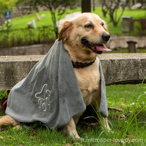 Serviette de bain super absorbante pour chien